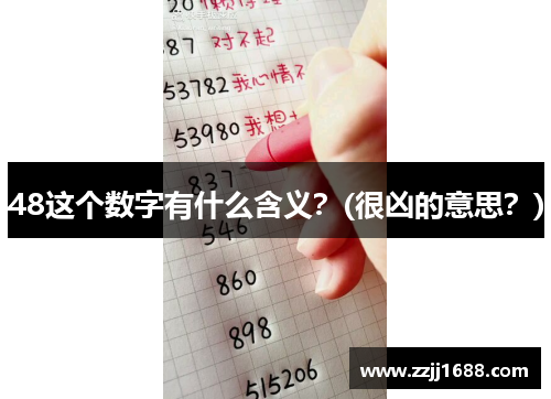 48这个数字有什么含义？(很凶的意思？)