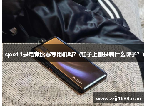 iqoo11是电竞比赛专用机吗？(鞋子上都是刺什么牌子？)